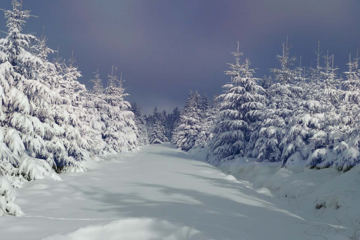 Le pays des sources sous la neige